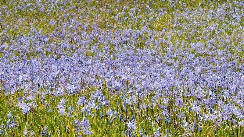 1805 Glacial Heritage 0491.jpg