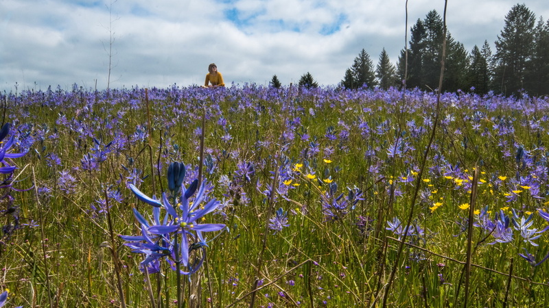 1805 Glacial Heritage 0495.4.jpg